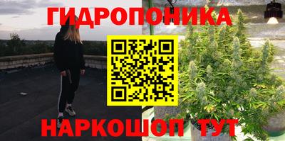 трава Обнинск