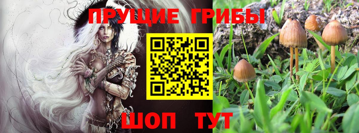 Псилоцибиновые грибы MAGIC MUSHROOMS  Галлюциногенные грибы Psilocybe  Сибай  Вход с VPN 